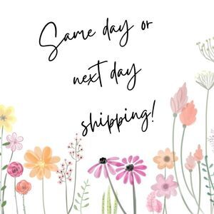 Fast shipping
